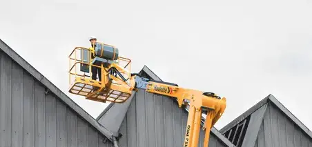 location broyeur à végétaux à Quiberon - image 2